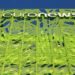 Роскомнадзор ограничил доступ к сайту известного европейского телеканала