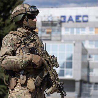 США продолжат добиваться прекращения боевых действий на ЗАЭС Вводная картинка