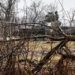 В ДНР назвали СВО операцией по спасению миллионов мирных жителей Донбасса